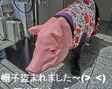 帽子盗まれました～（＞＿＜）