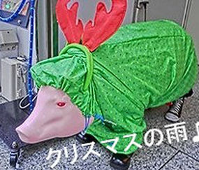 クリスマスの雨