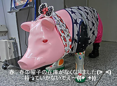 春の帽子の在庫がなくなりました。持っていかないでえ～（＞＿＜）